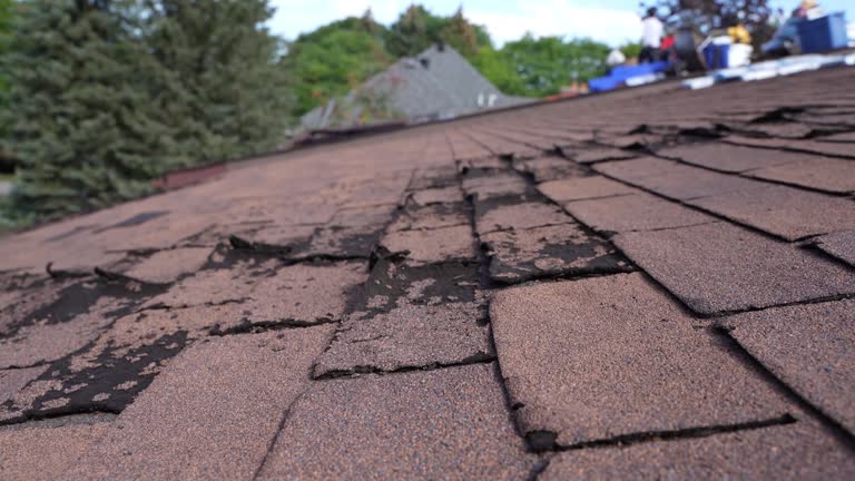 Best Green or Eco-Friendly Roofing Solutions  in Temelec, CA