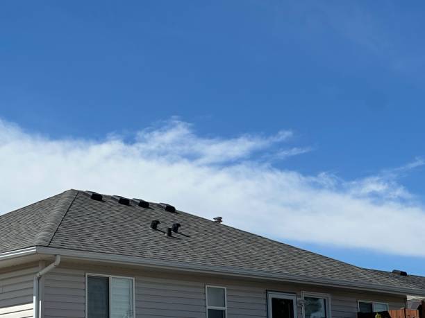 Best Roof Ventilation Installation  in Temelec, CA